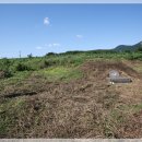 노당주유소 이미지