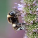 경찰이야기 ... 주호이야기 이미지