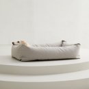 현대 강아지＆고양이 이미지