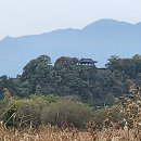 해결만족행정사 네이버블로그