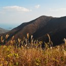 봄과가을이 이미지