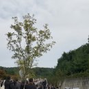 봉담장례식장 Daum카페