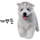 울산초장 이미지