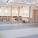 댕댕 쉼터 이미지