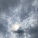 대산보리밥