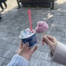 노는 건 쉽고... 출근은 어려워...