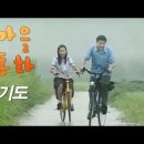 가을동화 Daum카페
