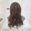 헤어라움 이미지