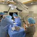 더블리스동물의료센터 이미지