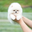 테디앤코든