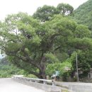 하산전경로당 이미지