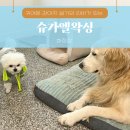 일산 브라질리언 왁싱 &#39;슈가엘왁싱 화정점&#39; 주차