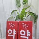 웃음짓는약국 이미지