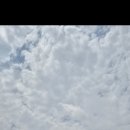 율리농장 이미지