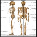연풍의원 이미지