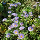 하나로헬스케어 | 하나로 리더스 헬스케어 농협 조합원 건강 검진 후기