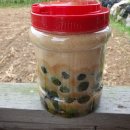 쌍둥이 농원 이미지