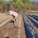 장암농장 이미지