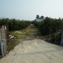 G1051 이미지