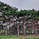 옥산3리 마을 앞 이미지