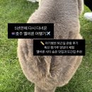 5년만에 다시 다녀온 호주 멜버른 여행기 ; 맛집, 숨은 명소, 또간집 추천