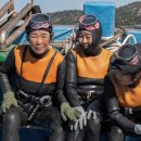 마지막해녀 이미지