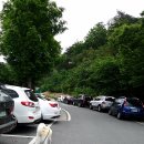 애견운동공원 이미지