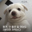 놀자