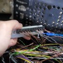 애니카랜드 성정점 이미지