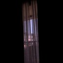 태평목장 | 제주의 겨울2_푸딩은 사람을 귀엽게 만든다