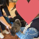 포천 모노레일(주) 이미지