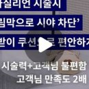 레이니크
