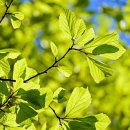 루아한의원 이미지