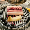 니가사는고기 이미지