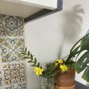 쇠소깍 천일펜션 이미지