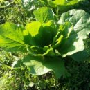 금암농장 이미지