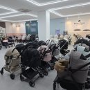 베네펫