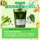 현진푸드 | 현진식품 스무디로 아침건강 챙기기 (ft. 맛있는데건강해)