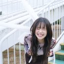 신보문장 이미지
