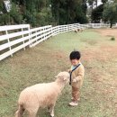 상우목장 이미지