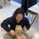 놀면뭐하개 이미지