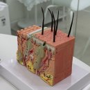 메디온 | 사하구여드름관리 잘하는 메디온스킨 장벽관리 받고 온 후기