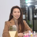 아트브러쉬