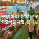 카페꽃다원 | [내돈내산] 8살 아이와 진밭골 식충, 식물체험카페 팜다원 체험 후기