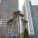 남산자이공인중개사사무소 이미지