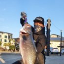 피싱스토리 이미지