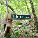 대운산 내원암 계곡 이미지