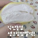 익산농협 생크림 찹쌀떡 오프라인 구매 후기!(어양동 익산농협 파머스마켓)