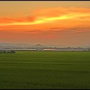 아침들녘 이미지