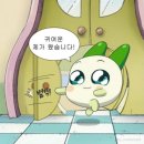 가마솥밀양돼지국밥 | 양산 석계 불족발 맛집, 술안주 끝판왕 #밀양가마솥돼지국밥